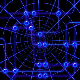 体育科学中的常用研究方法，探索运动与健康的科学路径