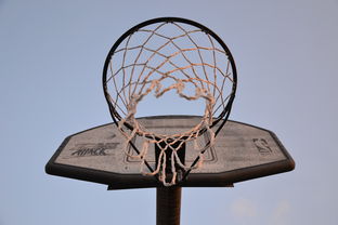 新浪NBA季后赛对阵图高清，篮球盛宴的全景展现